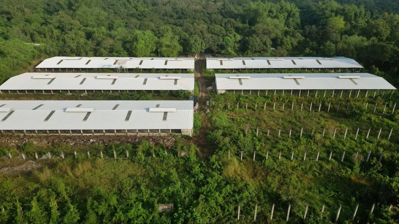Daddy’s Best Nature Farm Scales Agriculture Operations With JK Capital Finance